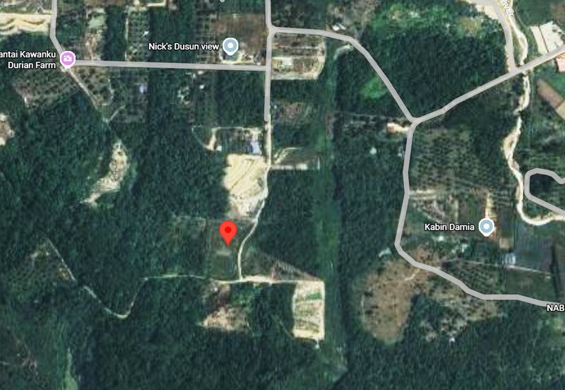 Agriculture Land Matured Durian Tree Fruit tree at Jelebu Pantai Sikamat Seremban