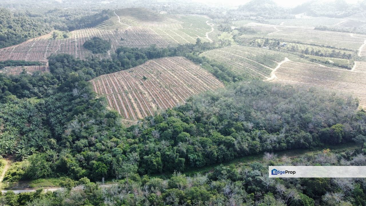 Tanah Pertanian, 1.5049 Hektar @ Tanjong Rimau, Alor Gajah, Melaka, Melaka, Melaka Raya
