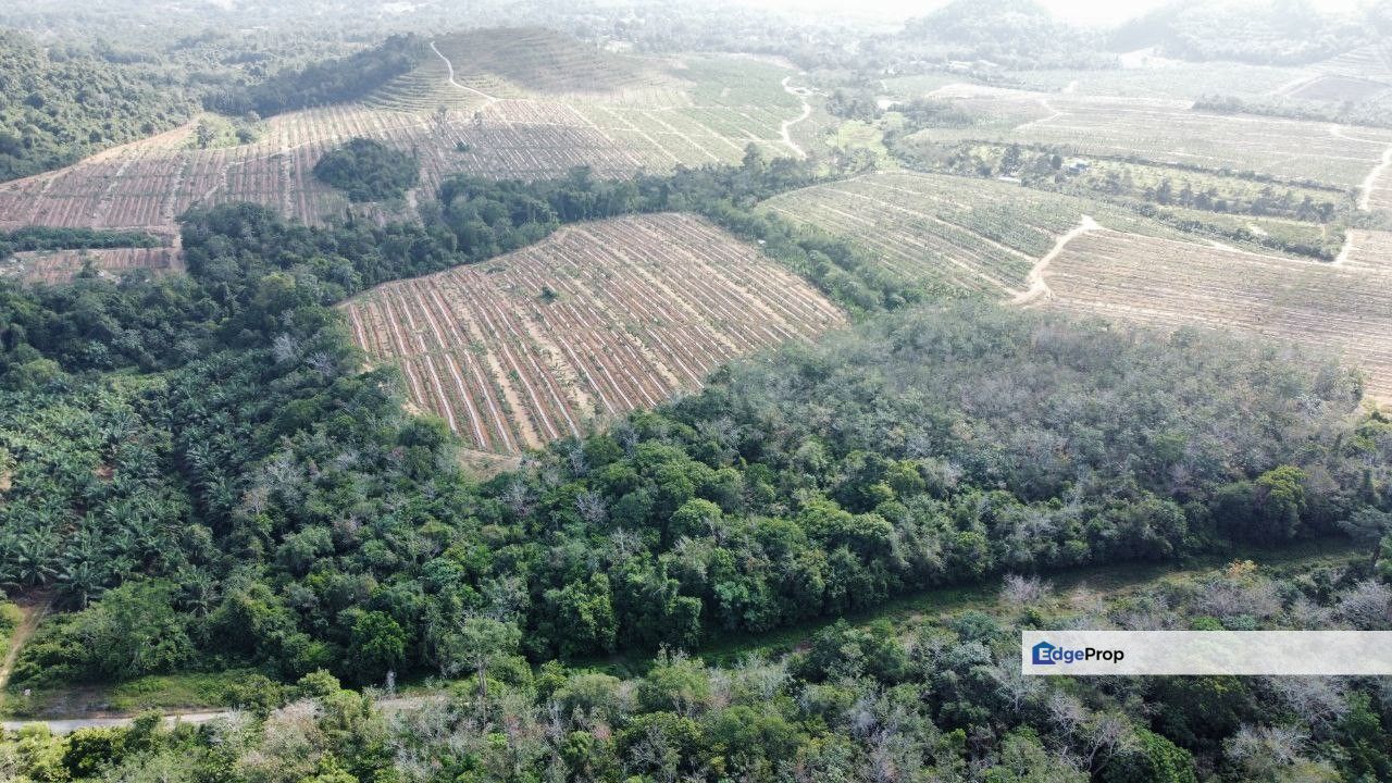 Tanah Pertanian, 1.5049 Hektar @ Tanjong Rimau, Alor Gajah, Melaka, Melaka, Melaka Raya