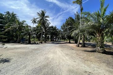 TANAH PERTANIAN 1.9 EKAR FREEHOLD NON BUMI, TEPI PANTAI BATU LAUT , TEPI JALAN UTAMA  📍 Kuala Langat, Selangor