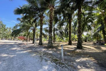 TANAH PERTANIAN 1.9 EKAR FREEHOLD NON BUMI, TEPI PANTAI BATU LAUT , TEPI JALAN UTAMA  📍 Kuala Langat, Selangor