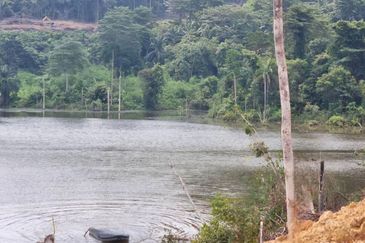 TANAH 3.2 EKAR  Persiaran Mokhtar Dahari, 47000 Shah Alam, Selangor 