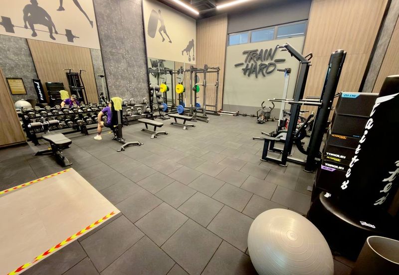 THE QUARTZ WM: PHASE 4