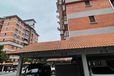 Evergreen Park Acorn and Hazel