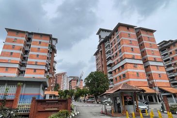 Evergreen Park Acorn and Hazel