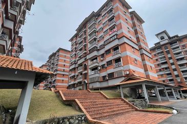 Evergreen Park Acorn and Hazel