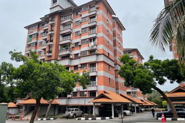 Evergreen Park Acorn and Hazel