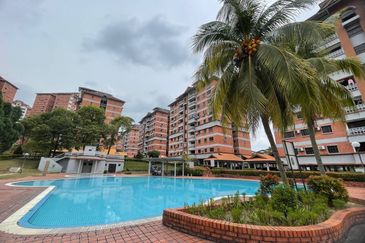 Evergreen Park Acorn and Hazel