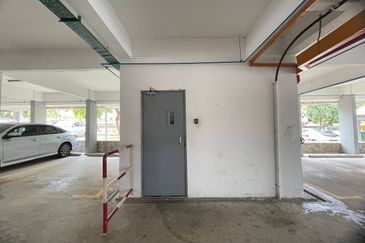 Evergreen Park Acorn and Hazel