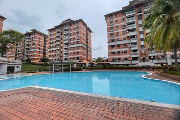 Evergreen Park Acorn and Hazel