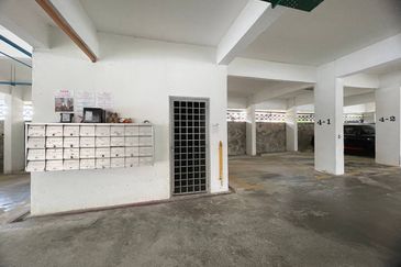 Evergreen Park Acorn and Hazel