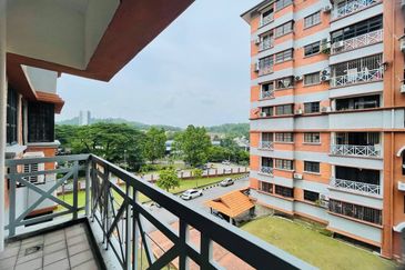 Evergreen Park Acorn and Hazel