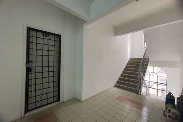 Evergreen Park Acorn and Hazel