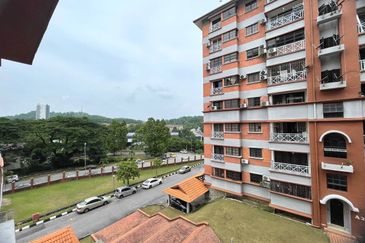 Evergreen Park Acorn and Hazel