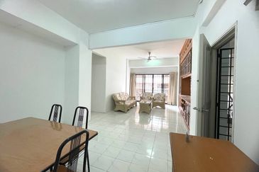 Evergreen Park Acorn and Hazel