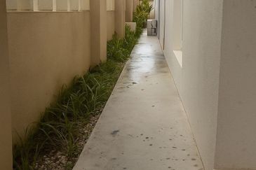 Ayu Puri, Alam Nusantara