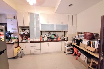 Anggerik Doritis @ Kota Kemuning