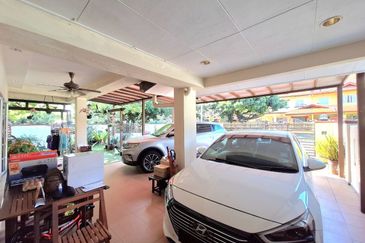 Anggerik Doritis @ Kota Kemuning