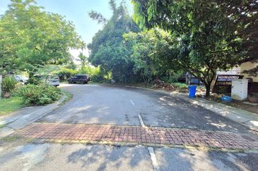 Anggerik Doritis @ Kota Kemuning