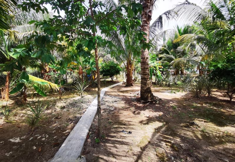 Seksyen 4, Bandar Baru Bangi