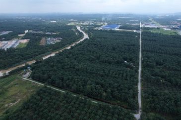 Banting Tanjong Dua Belas, Kuala Langat Land for sale