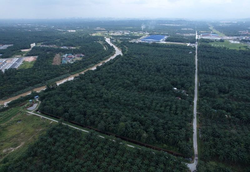 Banting Tanjong Dua Belas, Kuala Langat Land for sale