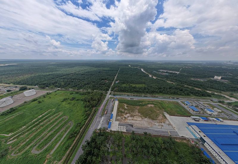 Banting Tanjong Dua Belas, Kuala Langat Land for sale