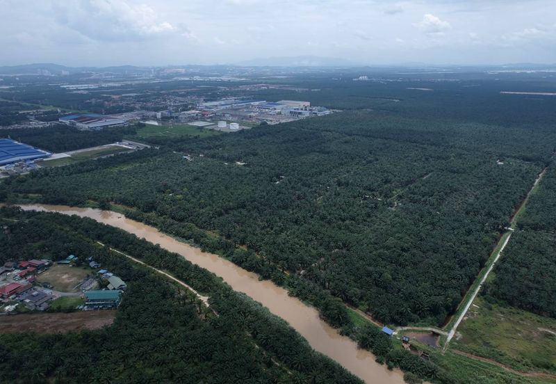 Banting Tanjong Dua Belas, Kuala Langat Land for sale