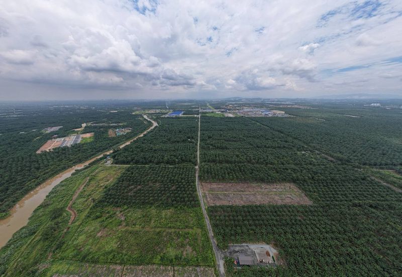 Banting Tanjong Dua Belas, Kuala Langat Land for sale