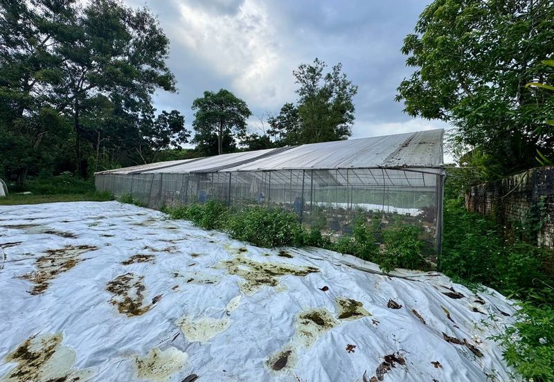 Seksyen 8, Kota Damansara