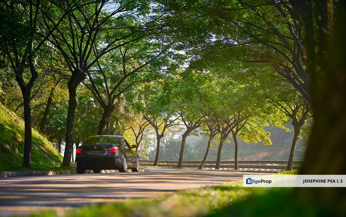 The Rafflesia Hill @ Damansara Perdana, Selangor, Damansara Perdana