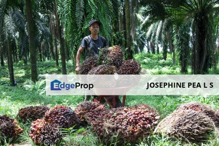 Agricultural Land for Sale in Titi 知知港, Negeri Sembilan 森美兰, Negeri Sembilan, Jelebu