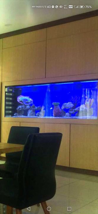 2 Storeys Semi D @ Amverton Hills Sungai Buloh For SALE, Selangor, Sungai Buloh