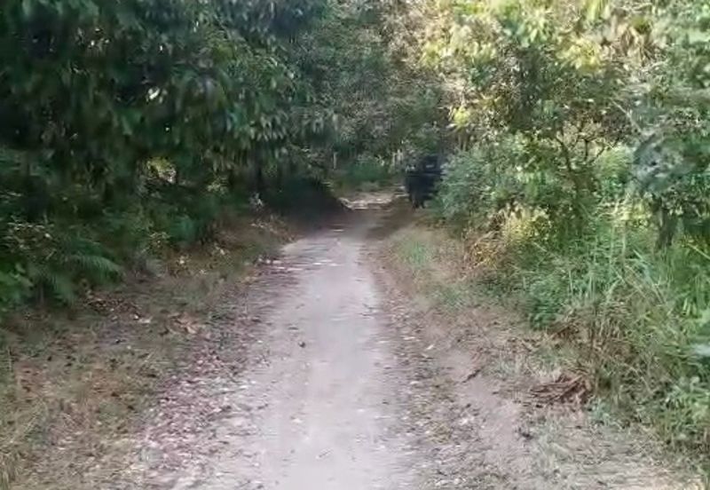 Kampung Kemensah Land For Sale