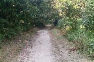 Kampung Kemensah Land For Sale