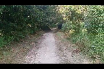 Kampung Kemensah Land For Sale