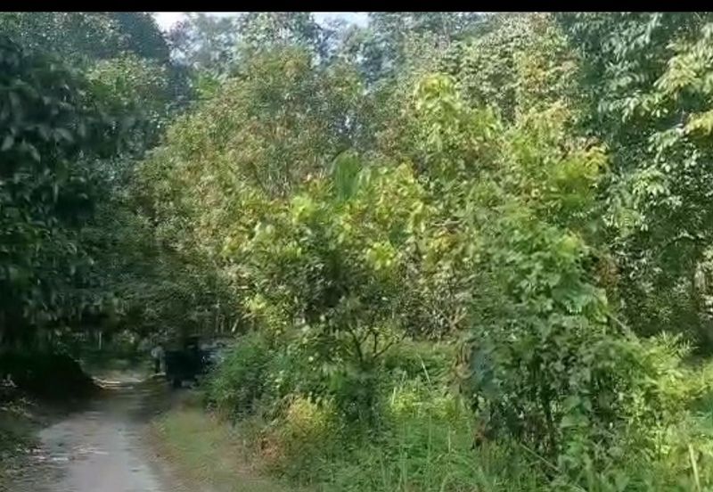 Kampung Kemensah Land For Sale