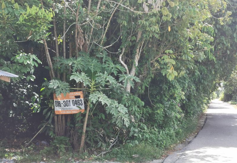 Kampung Demit @ Kubang Kerian