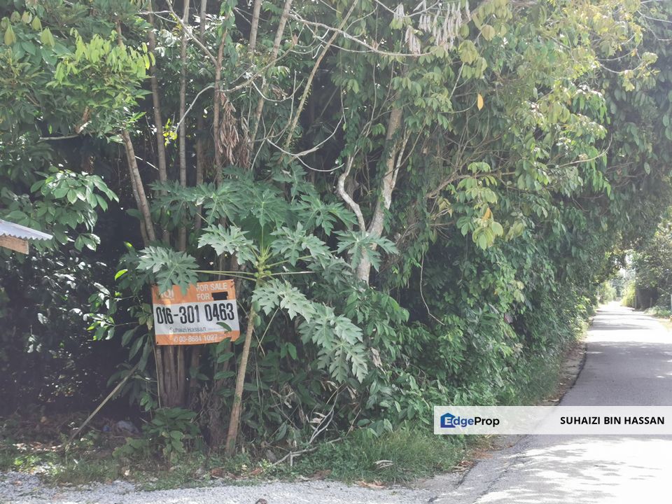 Land for Sale Kg Pulau Kubang kerian Kelantan, Kelantan, Kota Bharu