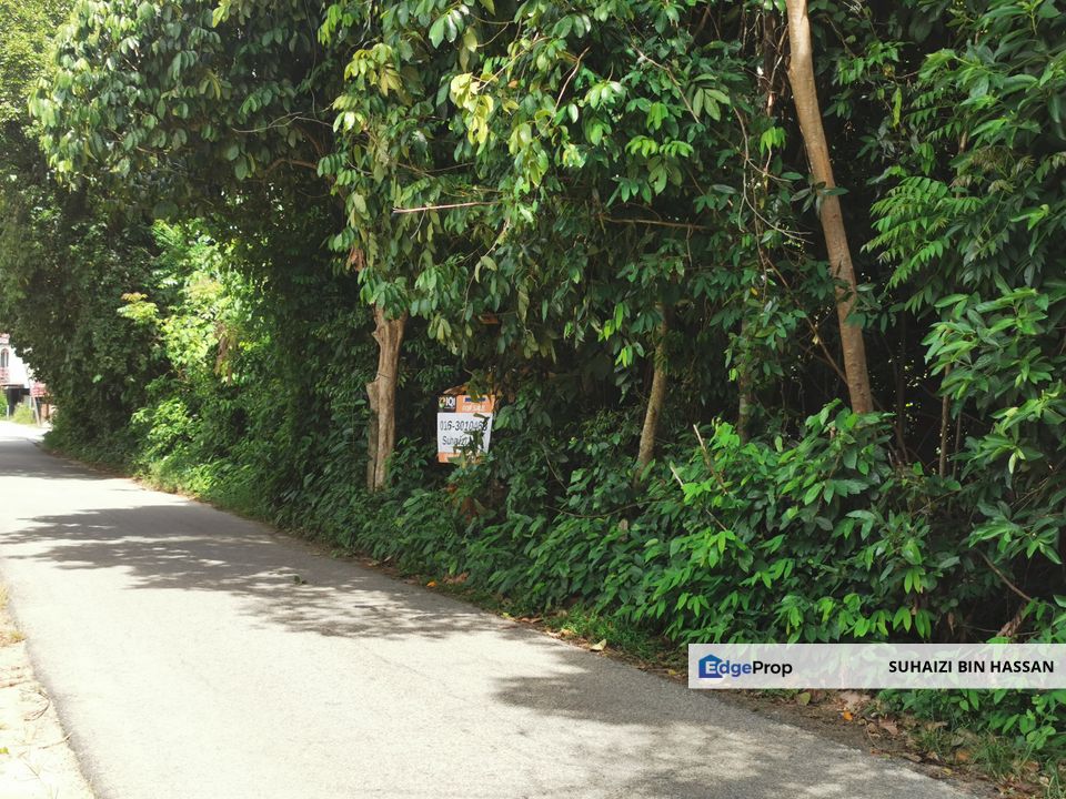 Land for Sale Kg Pulau Kubang kerian Kelantan, Kelantan, Kota Bharu