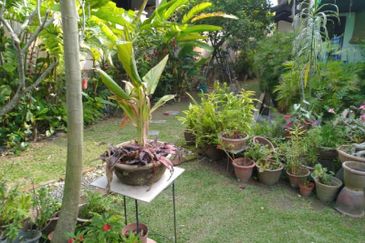 Sungai Buloh Country Resort