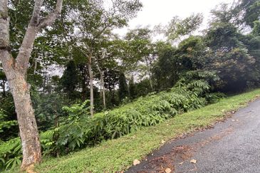 Sungai Buloh Country Resort