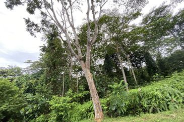 Sungai Buloh Country Resort