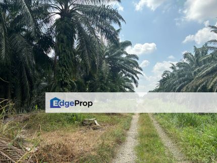 Freehold 2,5acre Telok Panglima Garang , Selangor, Kuala Langat