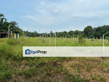 URGENT SALE : FREEHOLD | DEVELOPMENT - INDUSTRIAL USE | 3 ACRE - Location : Telok Panglima Garang, Selangor, Telok Panglima Garang