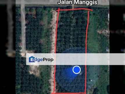 Tanah Pertanian 2 Ekar @ TPG, Selangor, Telok Panglima Garang