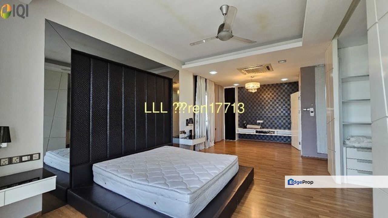 Kingfisher Sulaman, Sabah, Kota Kinabalu