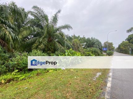 TEPI JALAN FREEHOLD Tanah Pertanian Kelapa Sawit Sepang, Selangor, Sepang