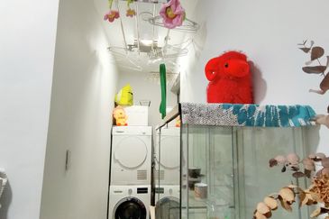 Dianthus @ Tropicana Gardens