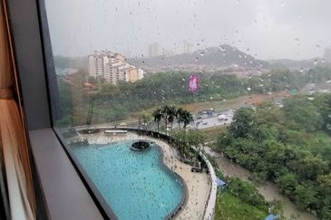 Dianthus @ Tropicana Gardens